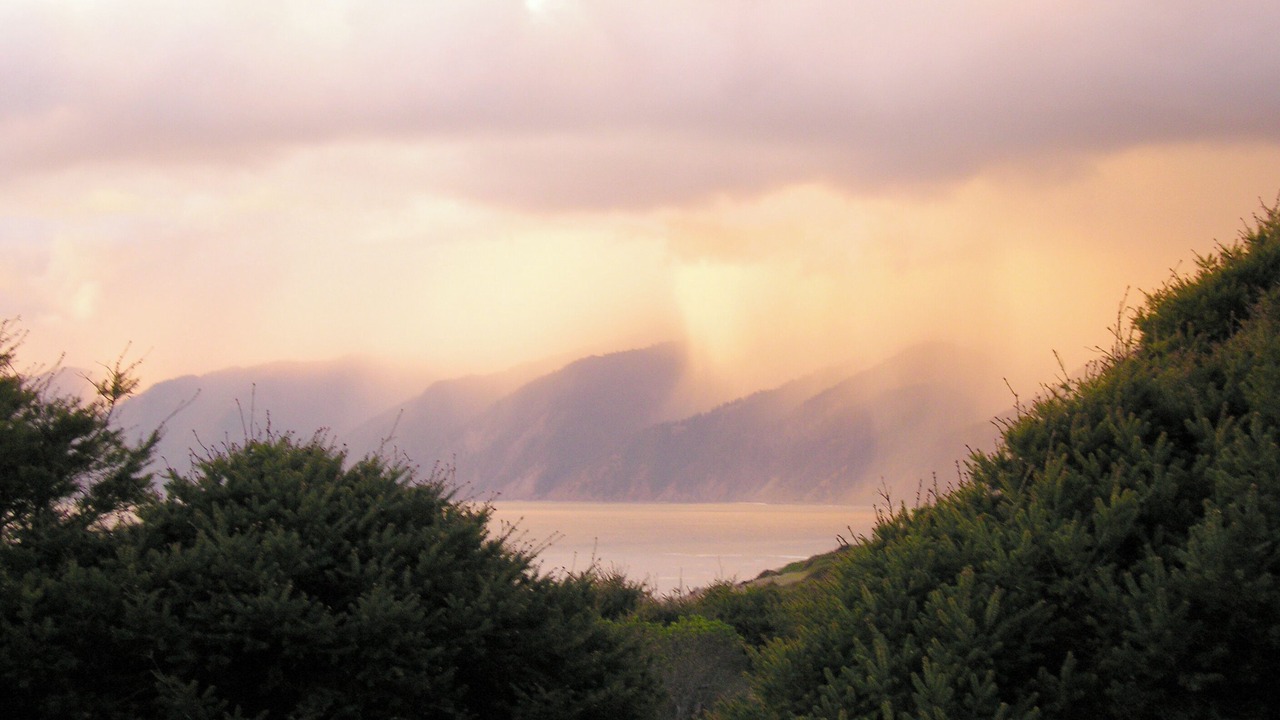 Photo of Others in Shelter Cove