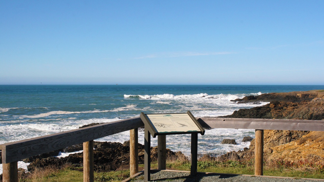 Photo of Outdoor in Shelter Cove