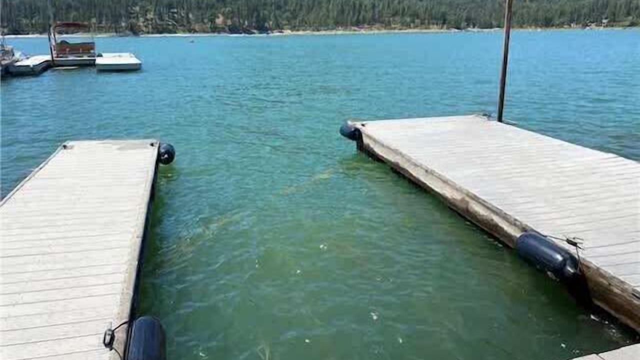 Photo of Others in Bass Lake