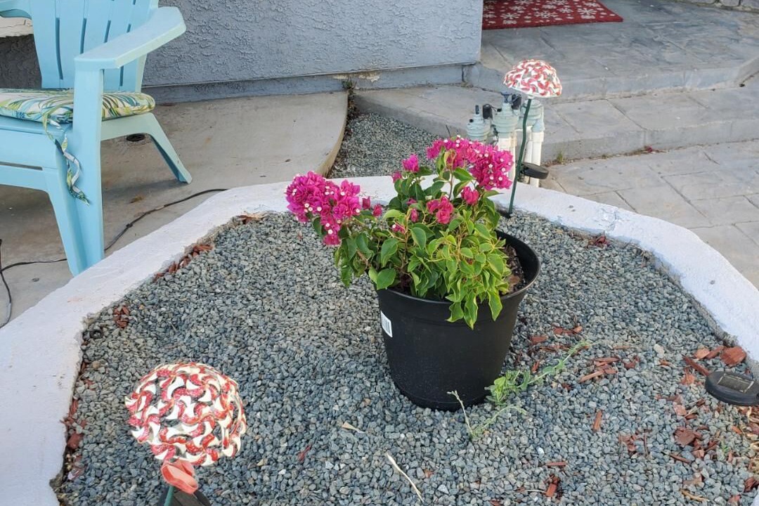 Photo of Outdoor in Palmdale