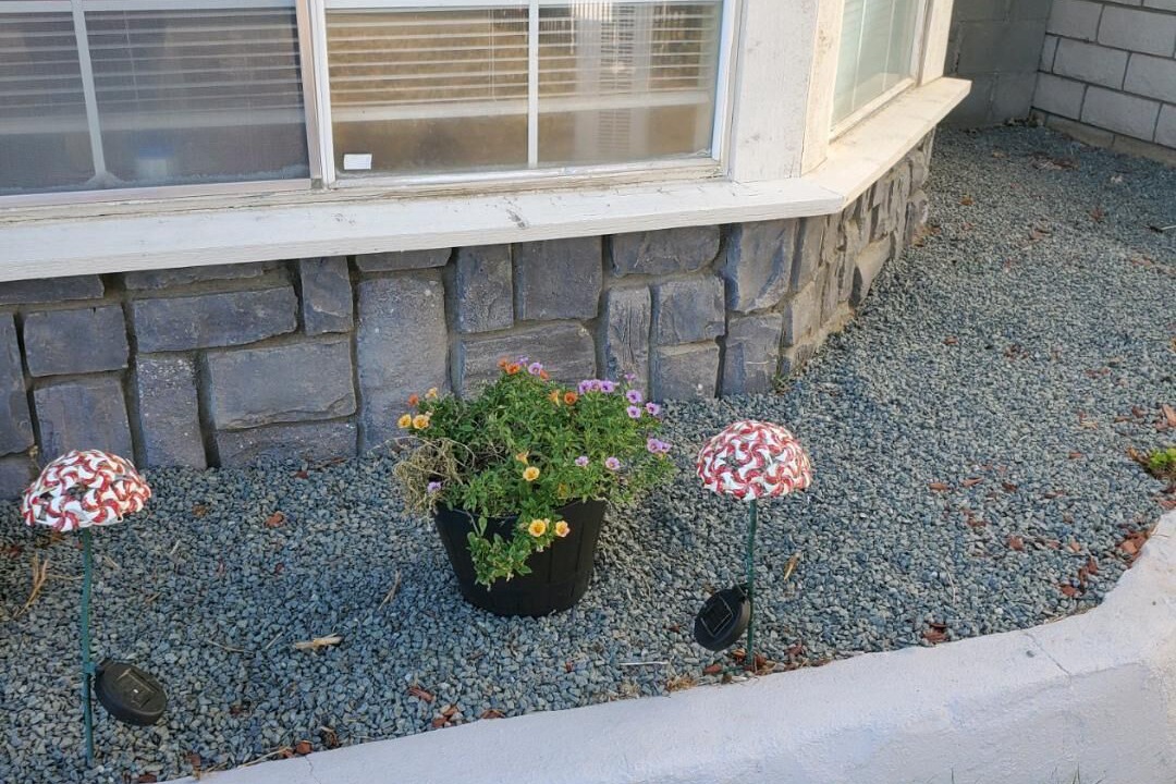 Photo of Outdoor in Palmdale