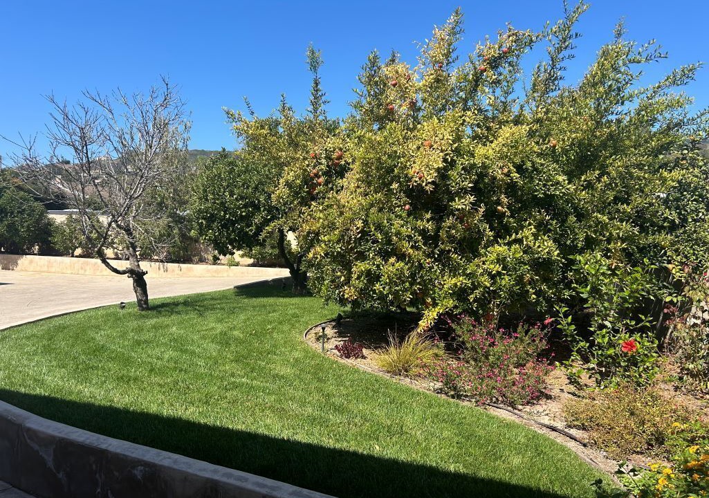 Photo of Outdoor in Camarillo