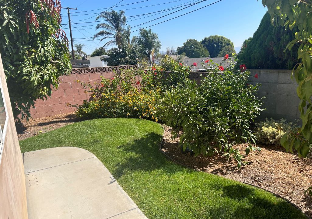 Photo of Outdoor in Camarillo