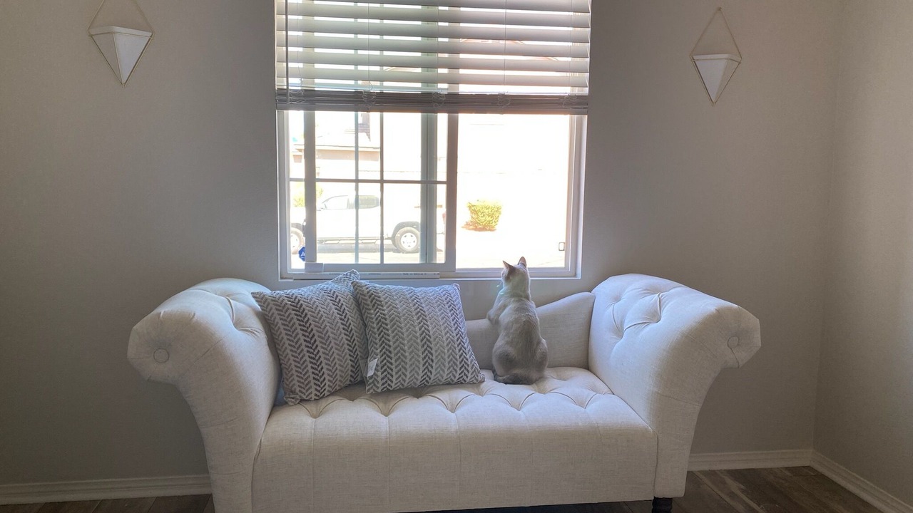 Photo of Livingroom in Paradiso