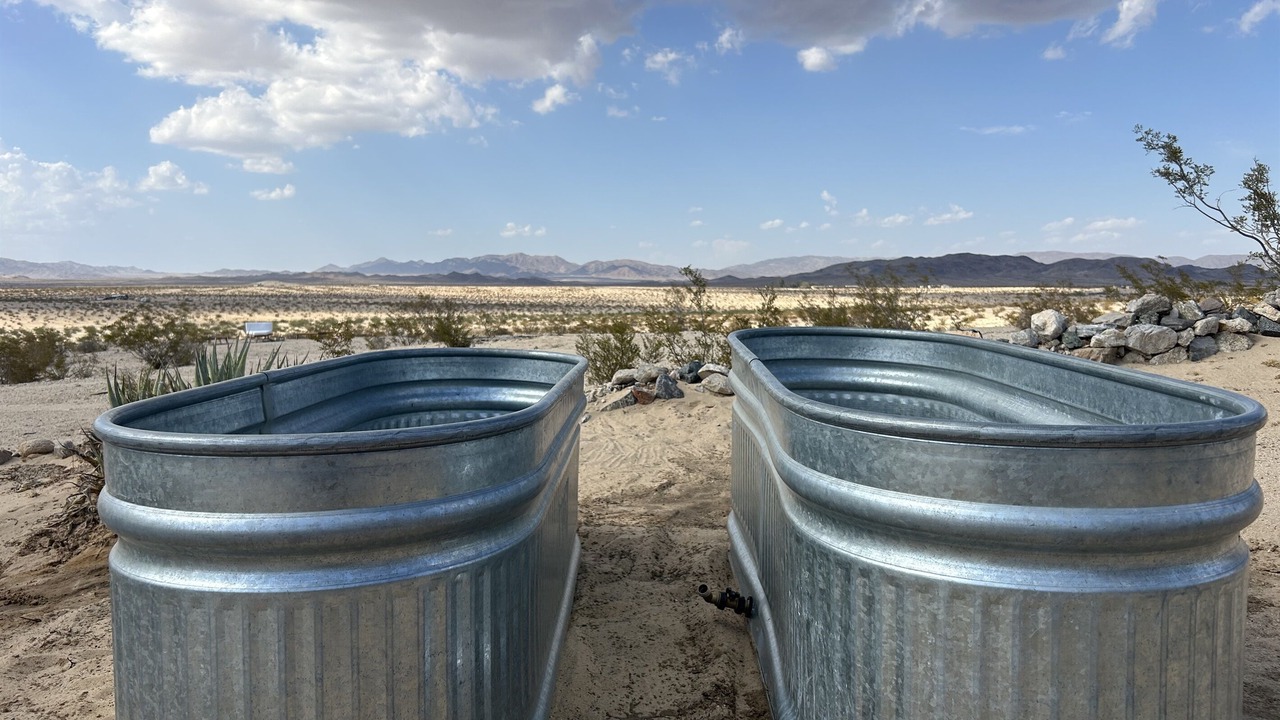 Photo of Others in Wonder Valley