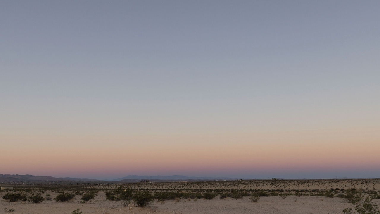 Photo of Others in Wonder Valley