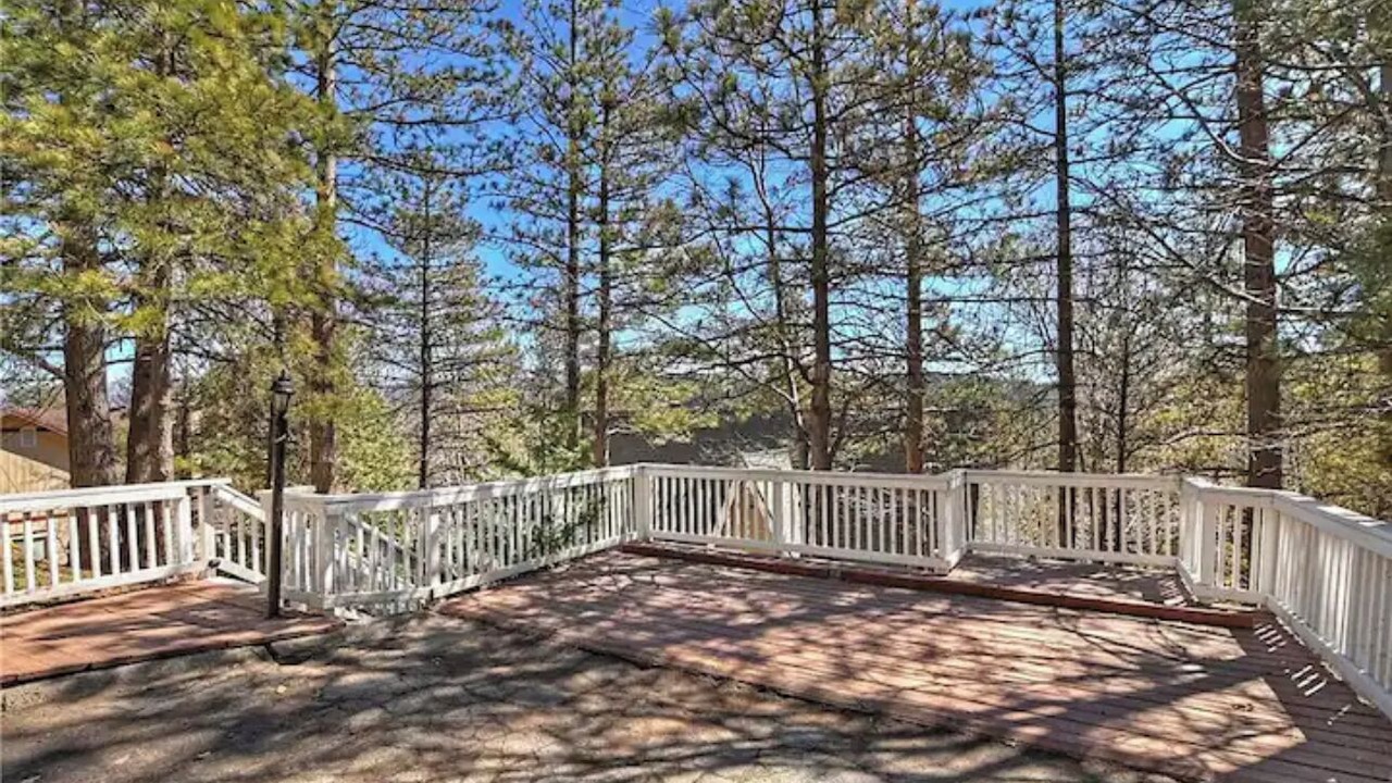 Photo of Outdoor in Blue Jay