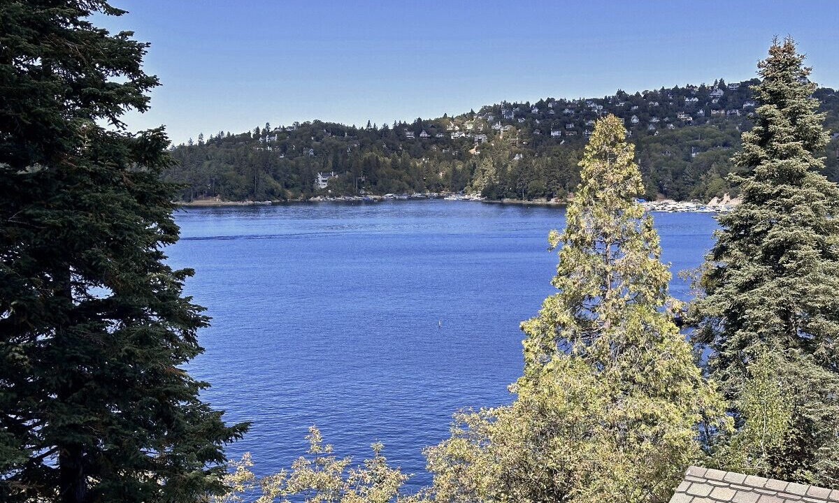 Photo of Outdoor in Cedar Glen