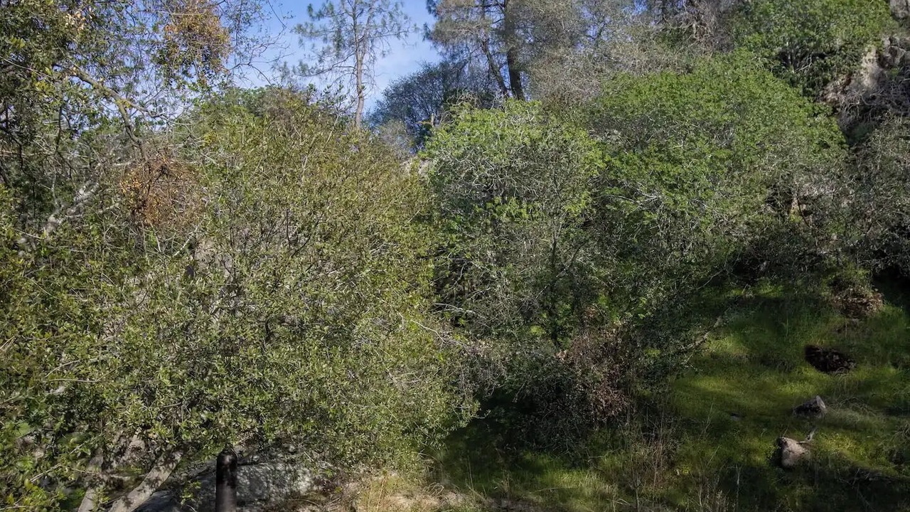 Photo of Outdoor in Keene