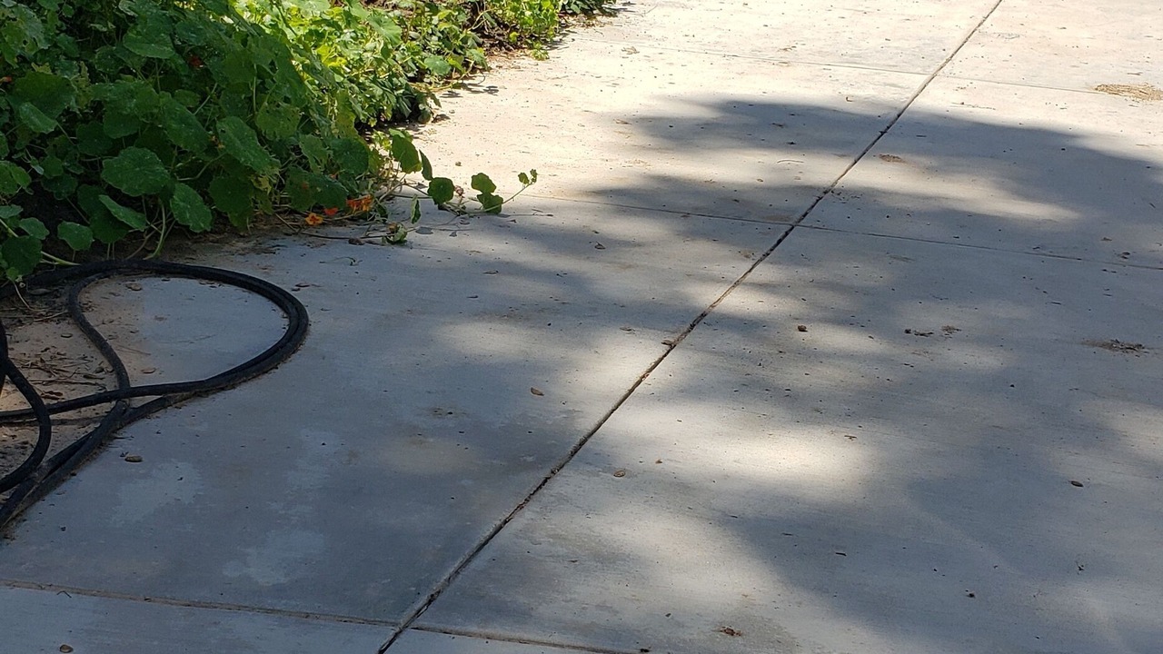 Photo of Outdoor in Hacienda Heights