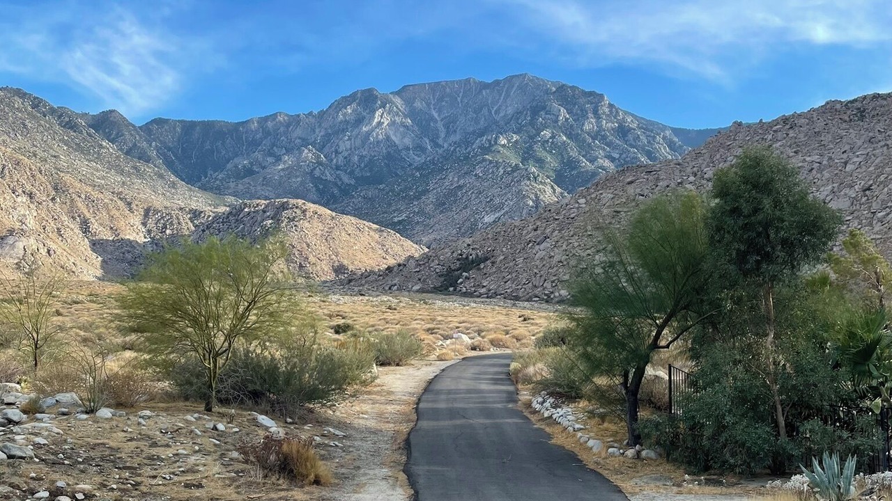 Photo of Others in Palm Springs
