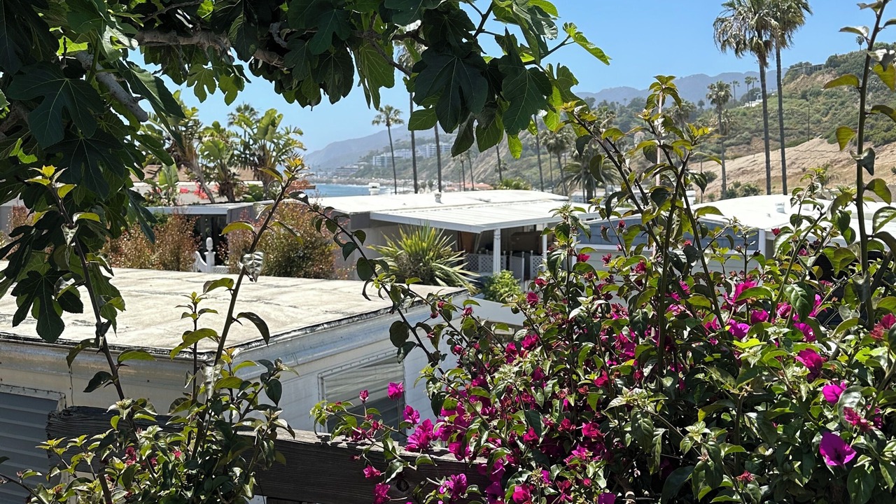 Photo of Outdoor in Pacific Palisades