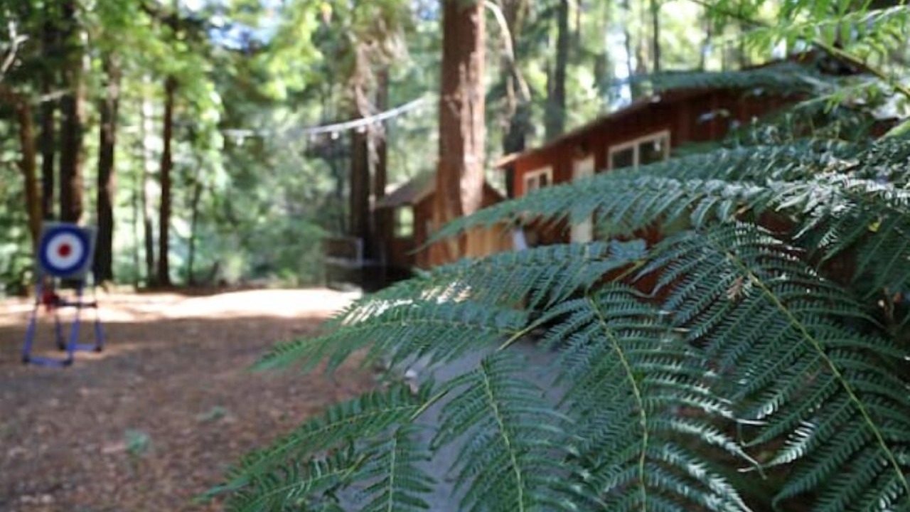 Photo of Outdoor in Garberville
