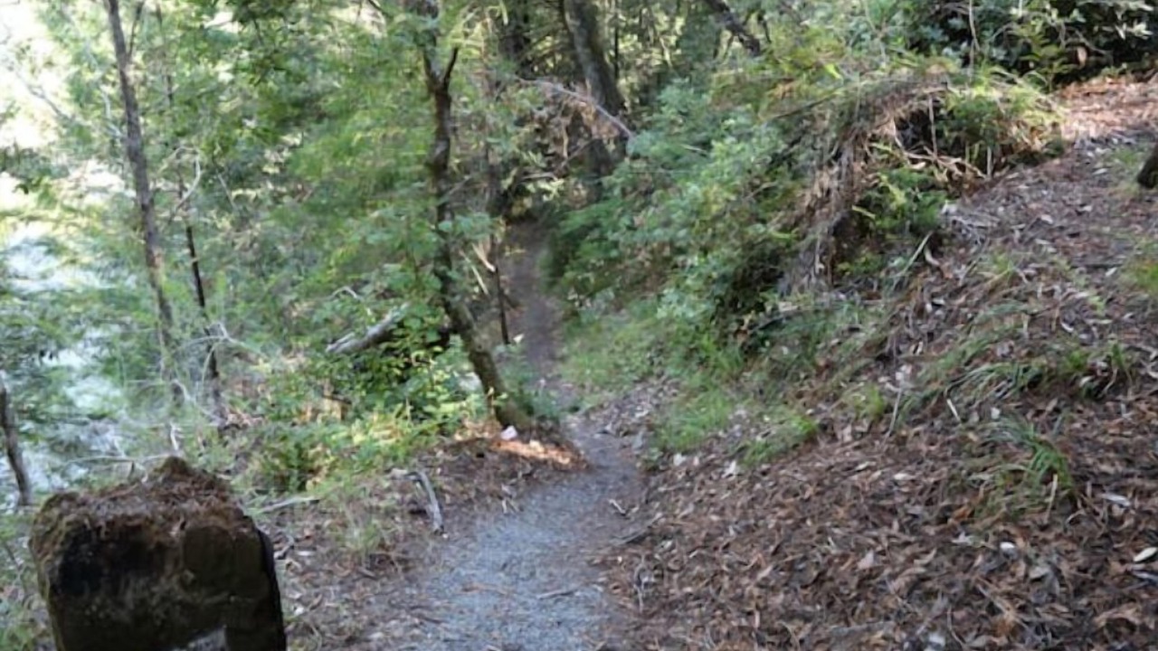 Photo of Outdoor in Garberville