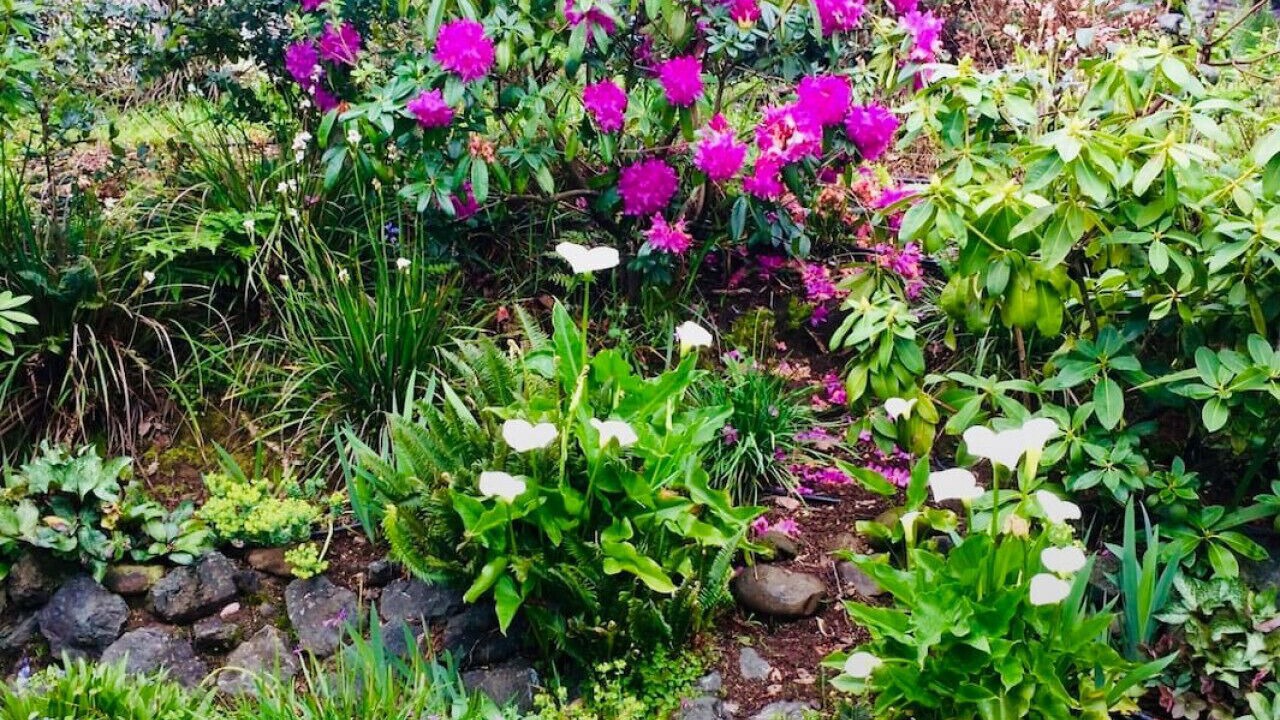 Photo of Outdoor in Inverness