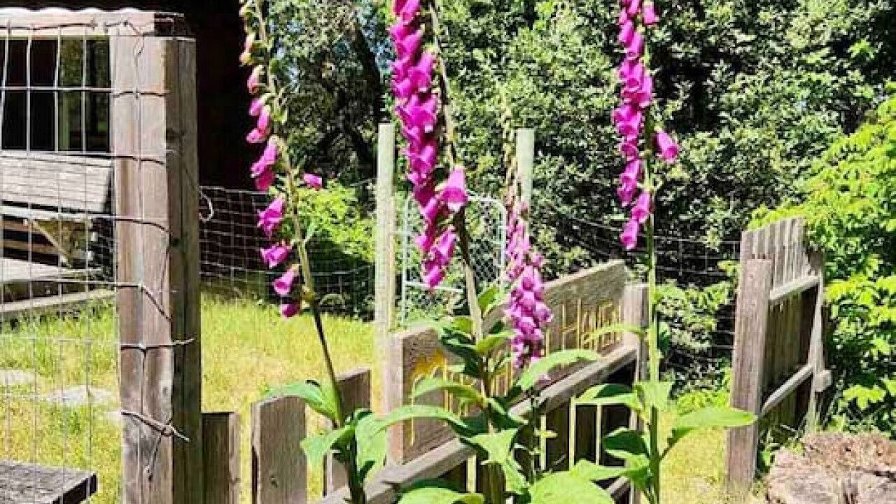 Photo of Outdoor in Inverness