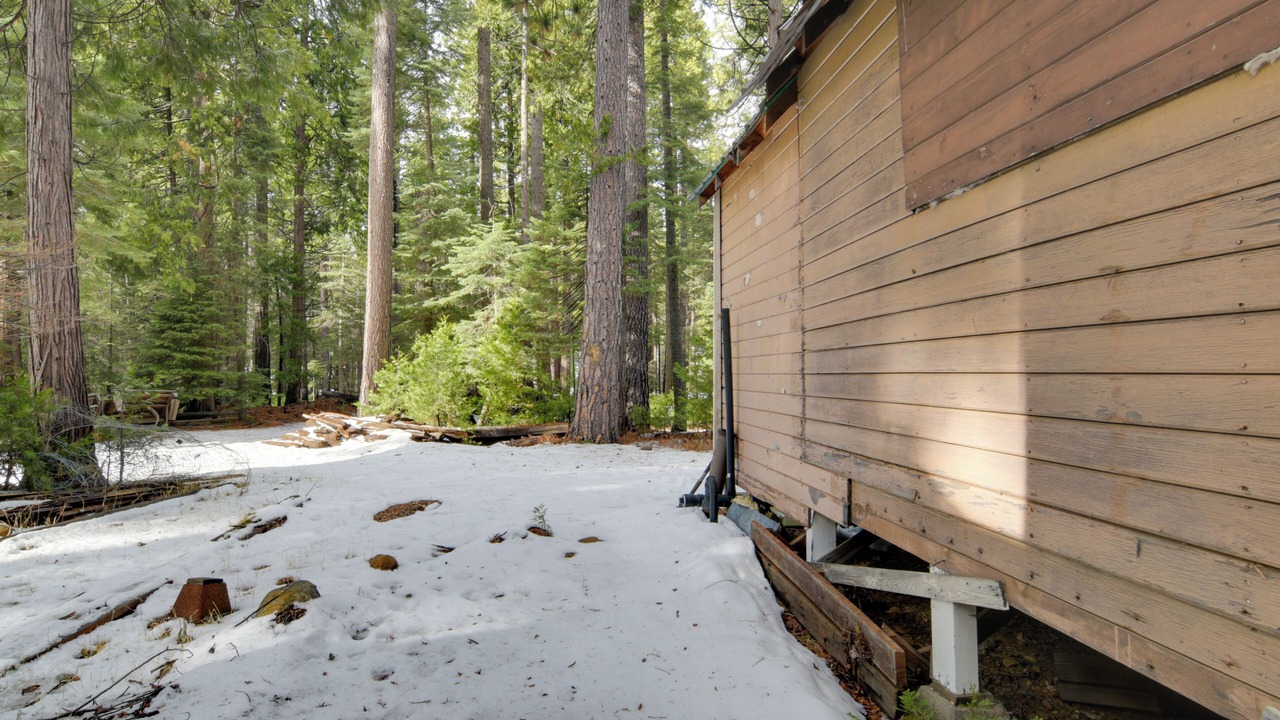 Photo of Outdoor in Butte Meadows