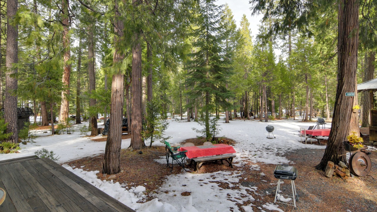 Photo of Outdoor in Butte Meadows