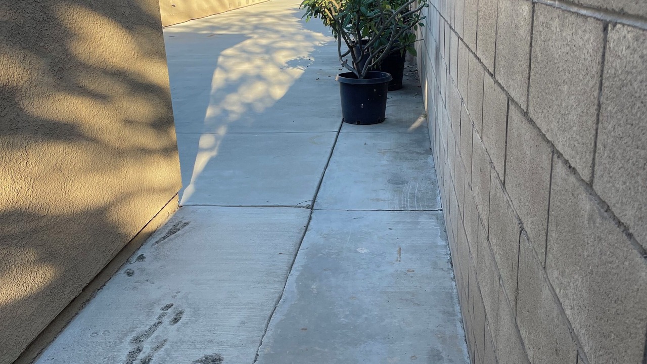Photo of Outdoor in Westminster