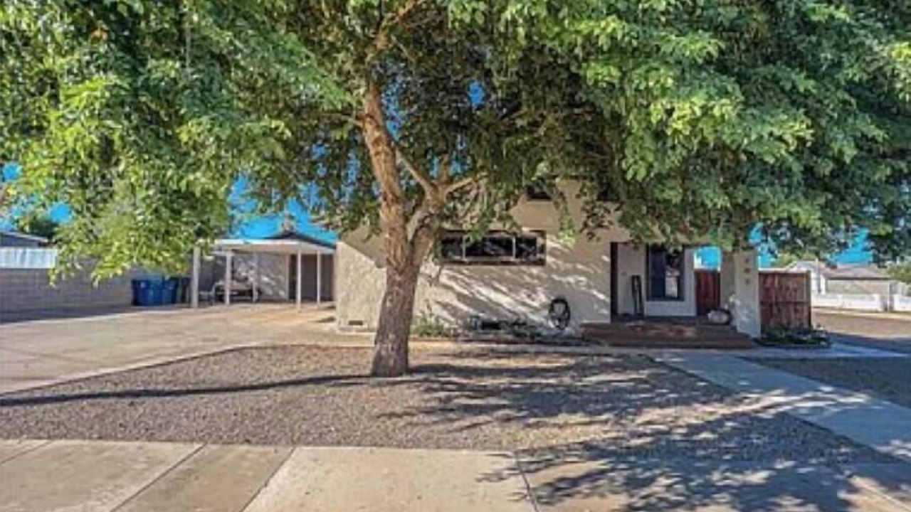 Photo of Outdoor in Needles