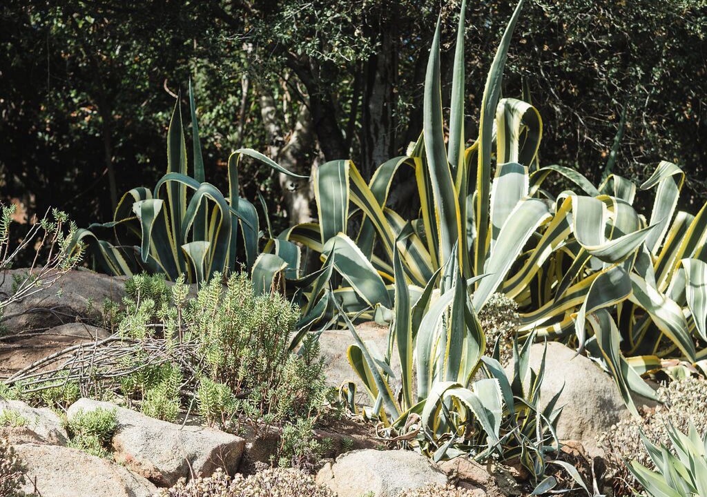 Photo of Outdoor in Escondido