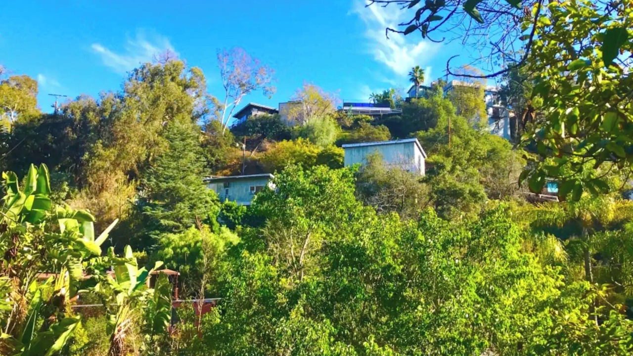 Photo of Outdoor in La Brea