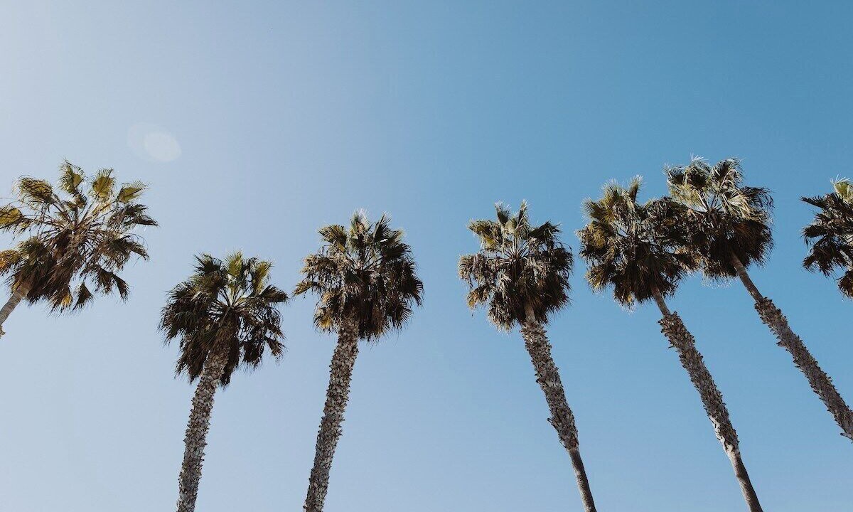 Photo of Others in Solana Beach