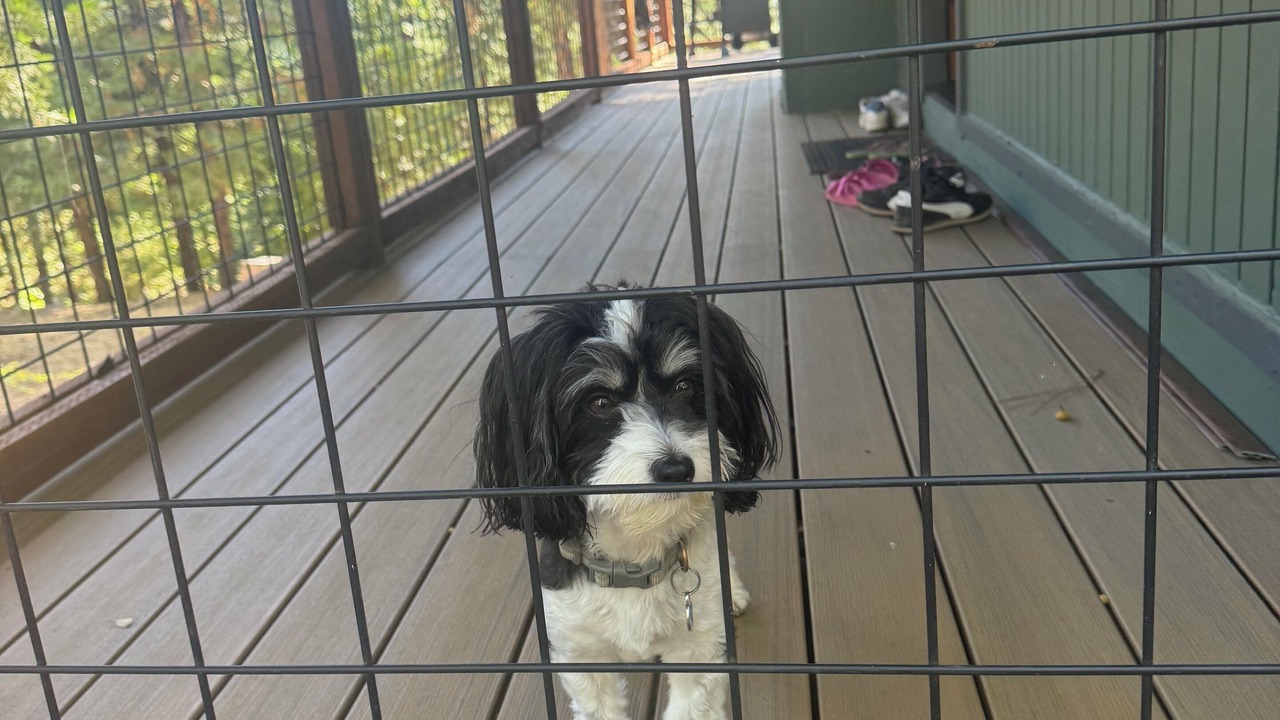 Photo of Patio Balcony in Altaville