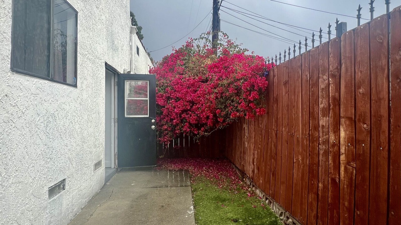 Photo of Outdoor in Palms