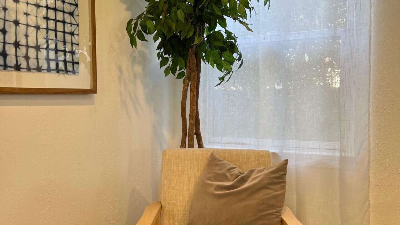 Photo of Others in Palms