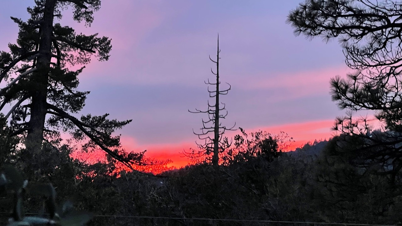 Photo of Others in Idyllwild