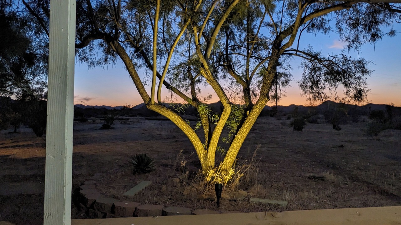 Photo of Others in Yucca Valley