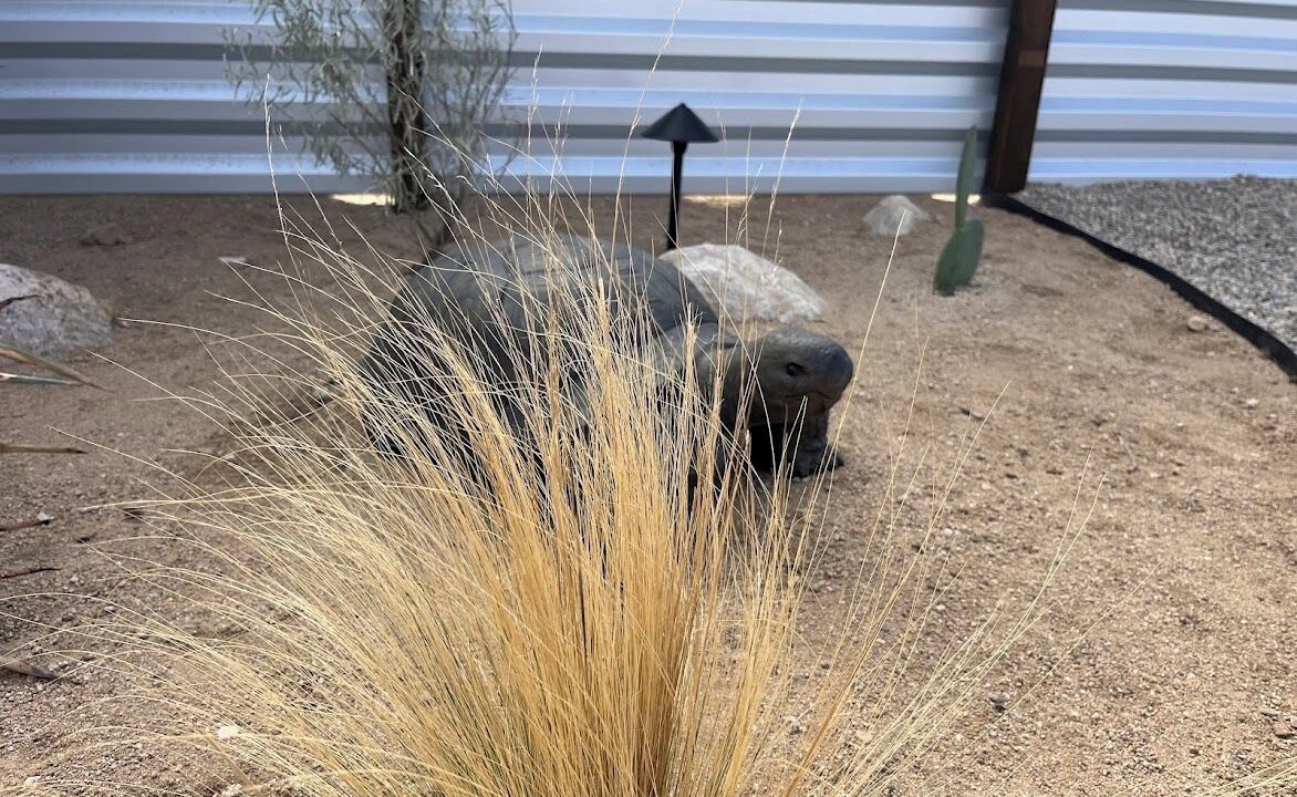 Photo of Others in Twentynine Palms