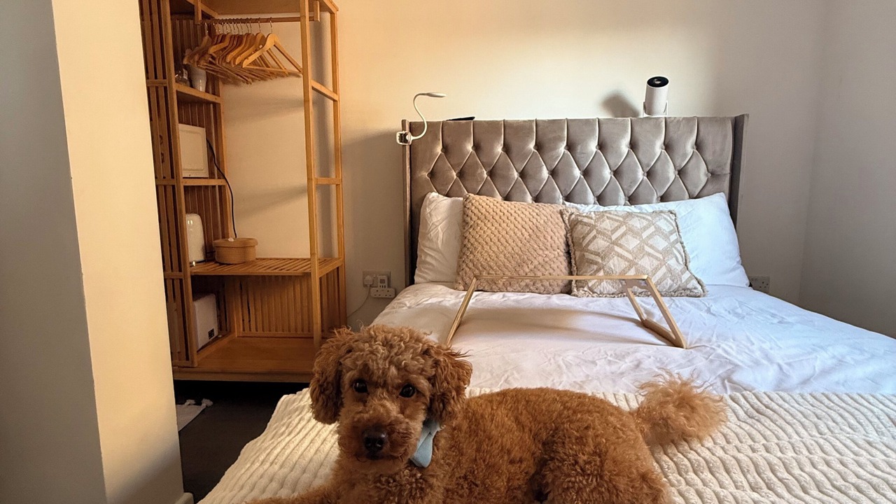 Photo of Bedroom in North Woolwich
