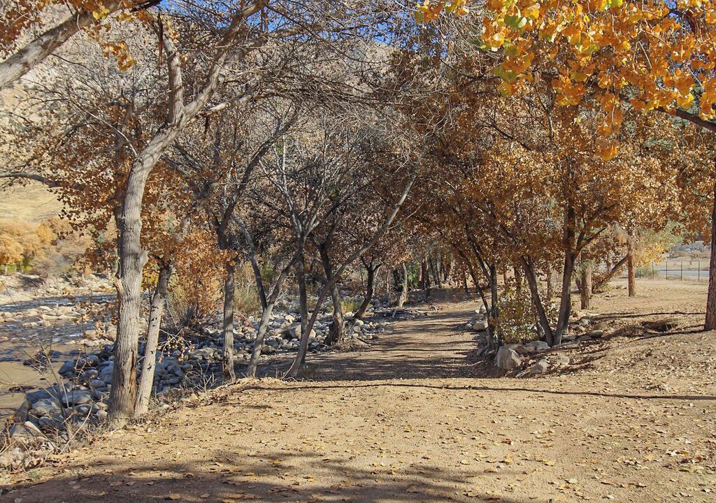 Photo of Others in Kernville