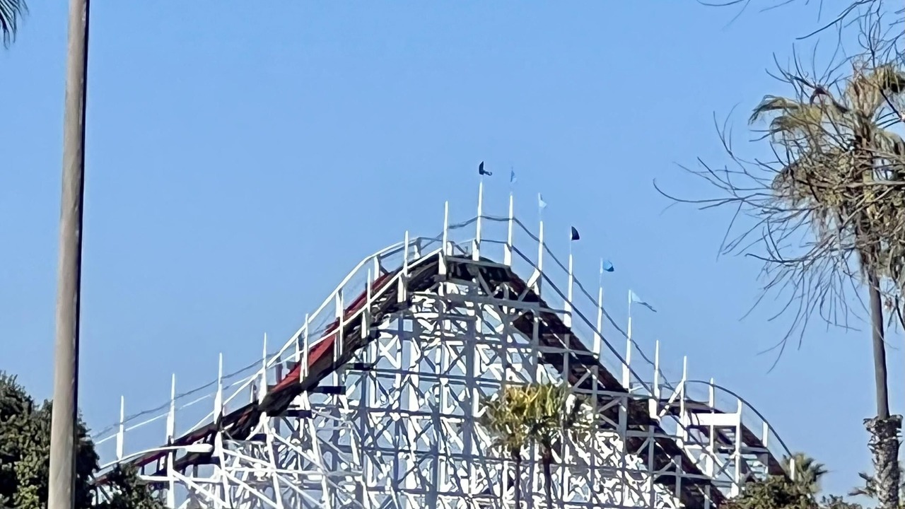 Photo of Others in South Mission Beach