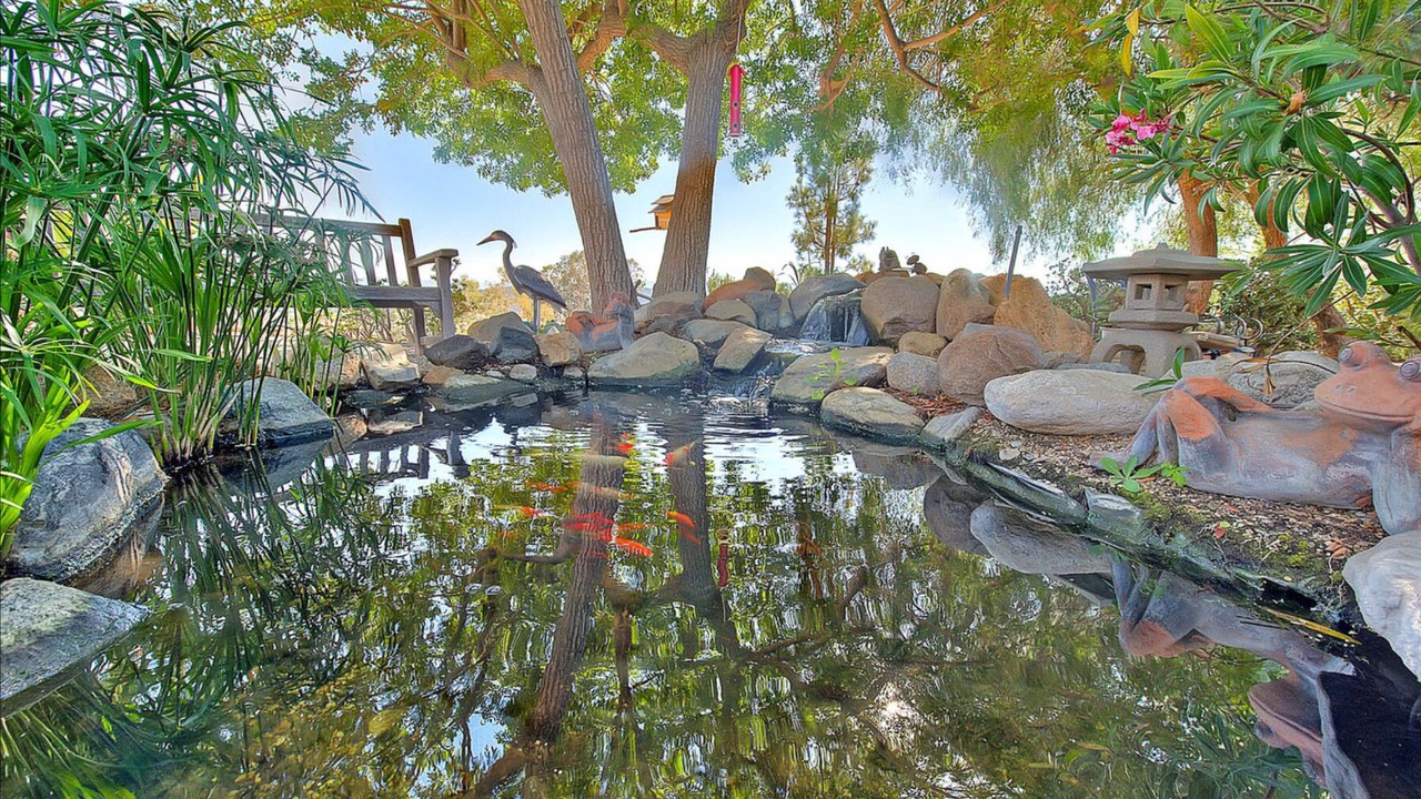 Photo of Others in Temecula