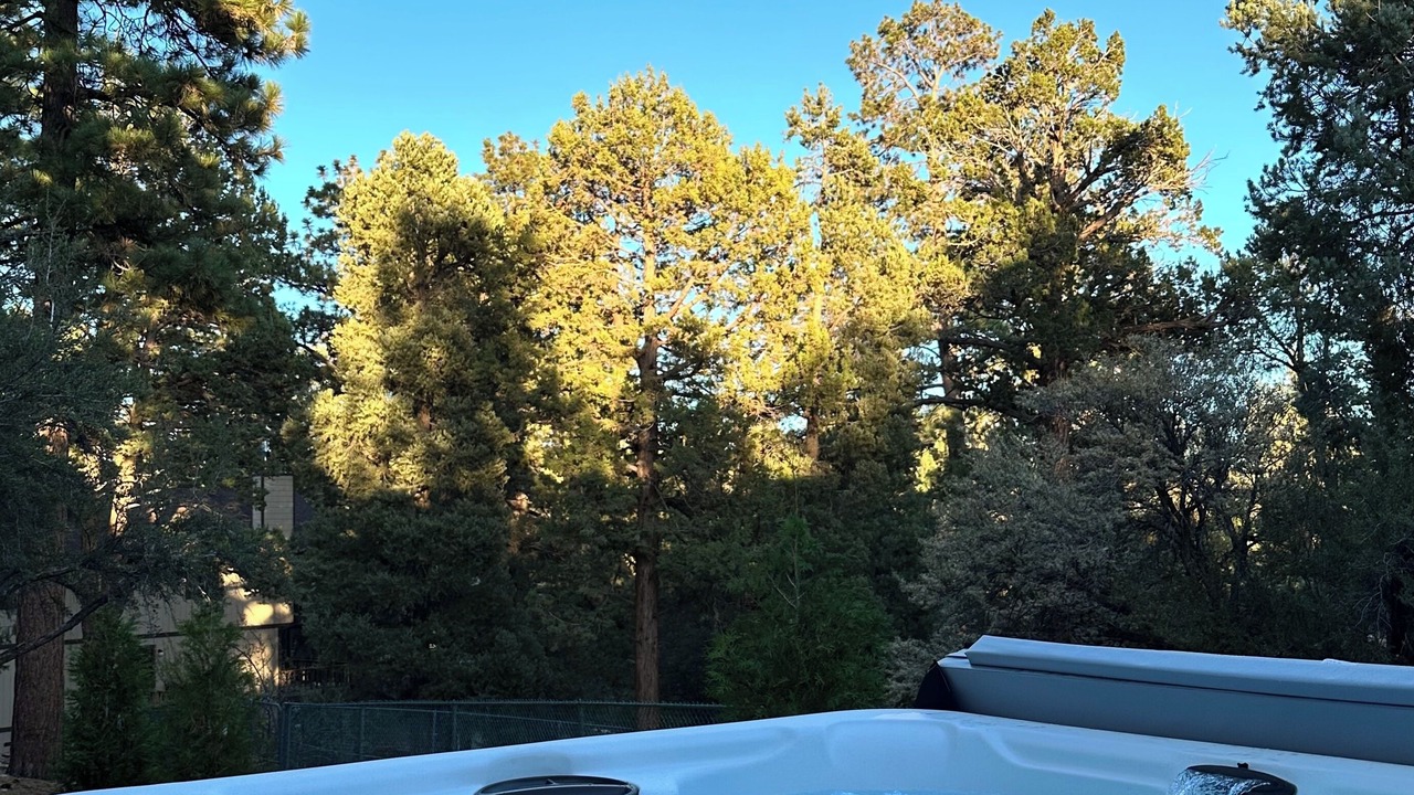 Photo of Outdoor in Whispering Forest