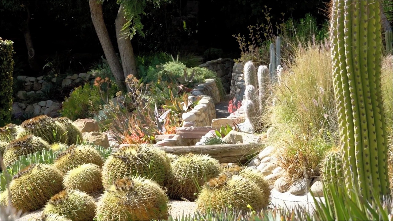 Photo of Outdoor in Fernwood