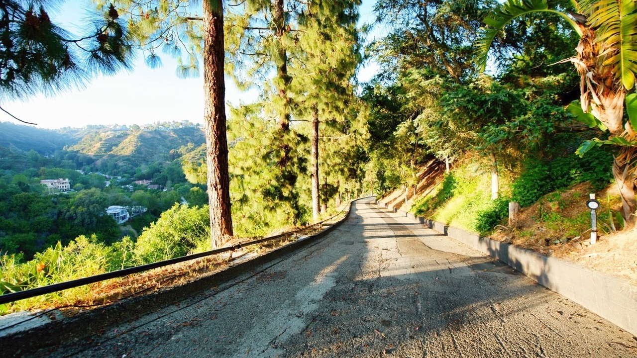 Photo of Others in Bel Air