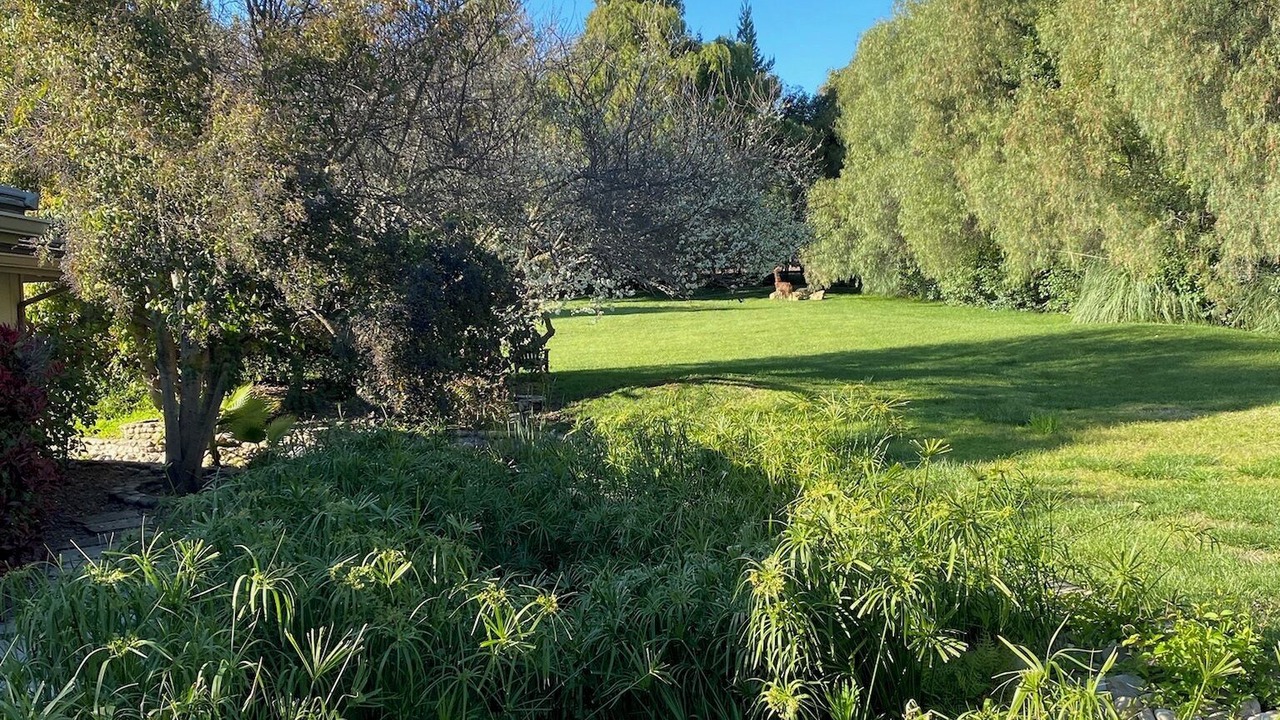 Photo of Outdoor in Santa Ynez