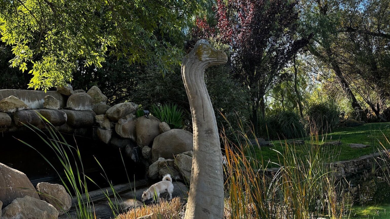 Photo of Outdoor in Santa Ynez