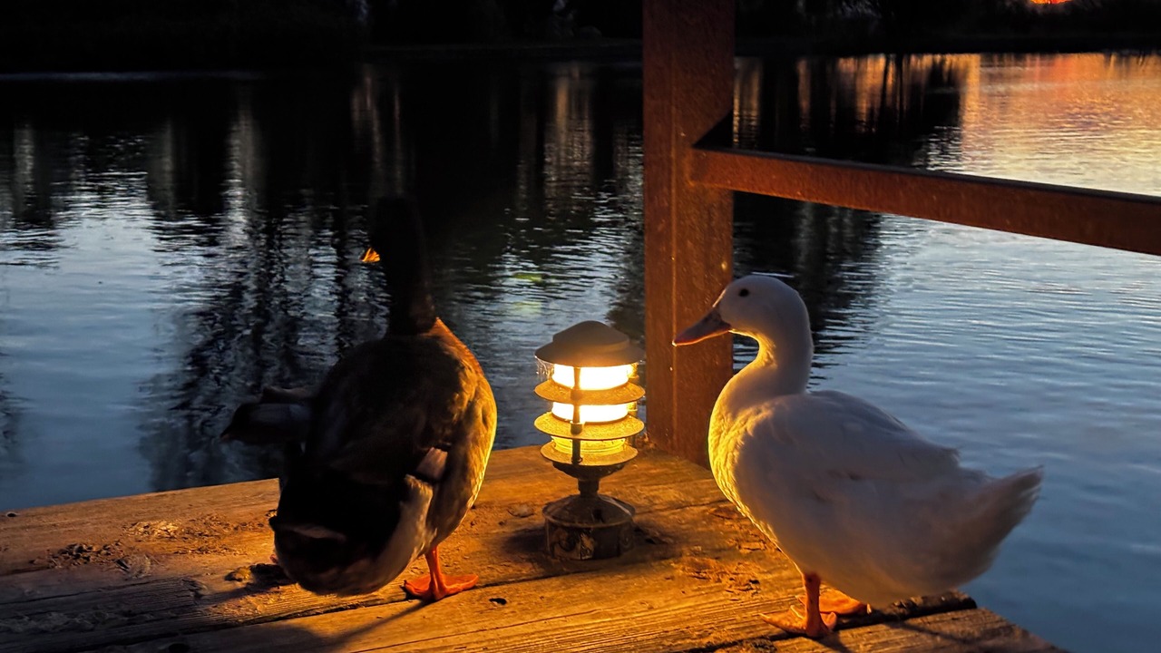Photo of Others in Santa Ynez
