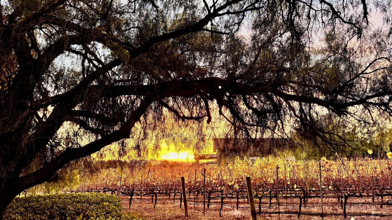 Photo of Others in Santa Ynez