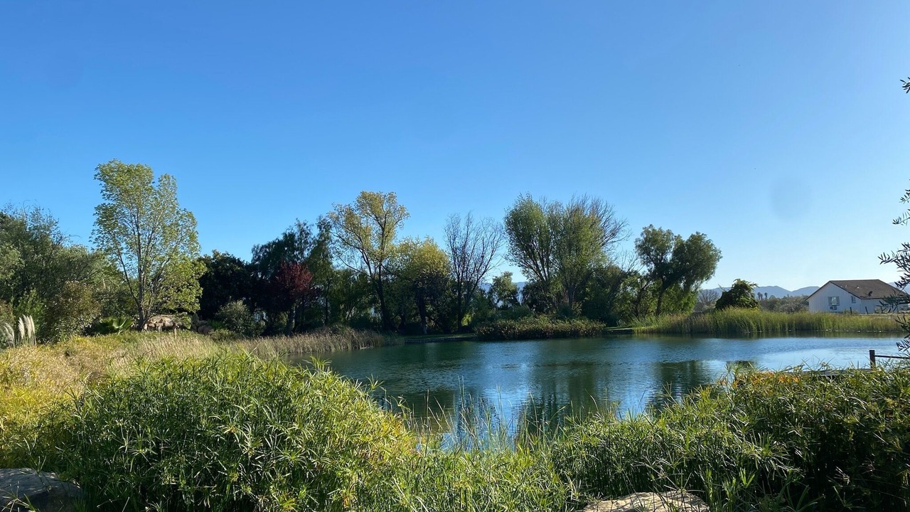 Photo of Others in Santa Ynez
