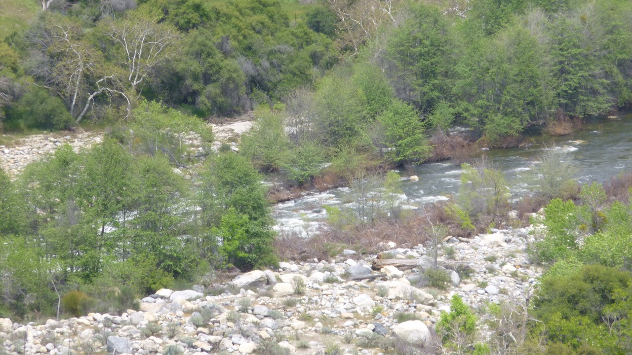 Photo of Others in Three Rivers