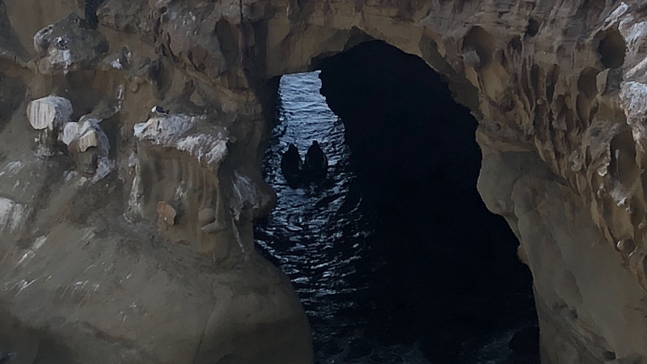 Photo of Others in Village of La Jolla