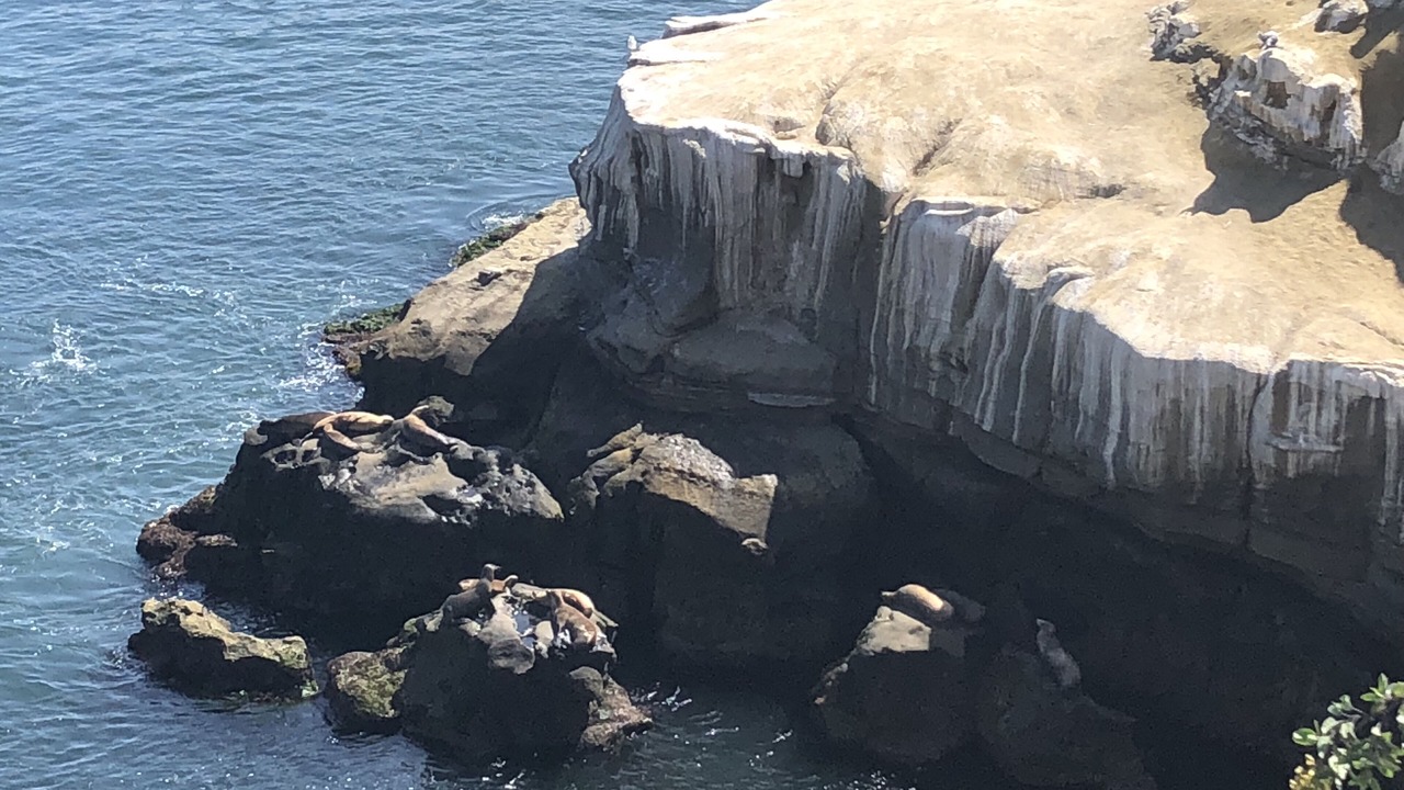 Photo of Others in Village of La Jolla