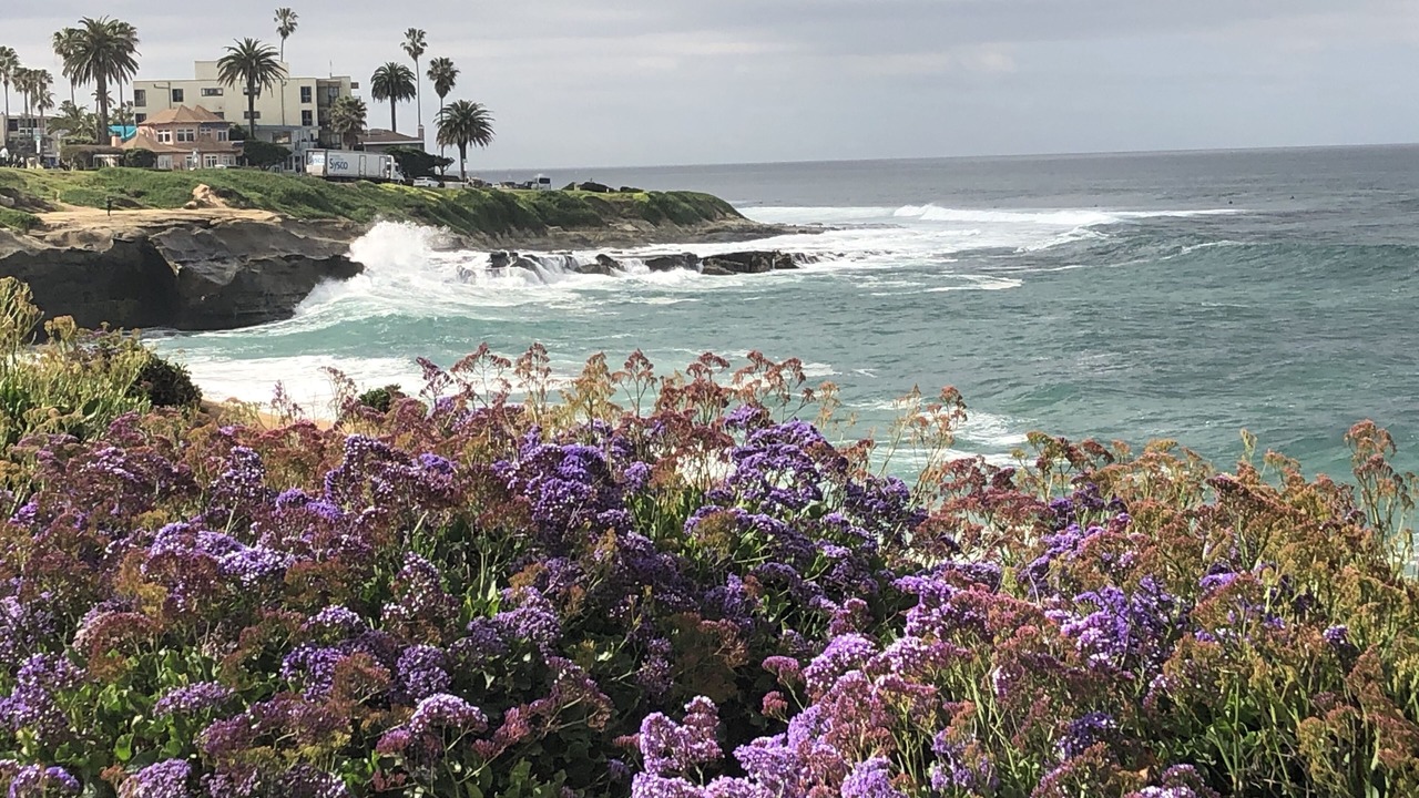 Photo of Others in Village of La Jolla