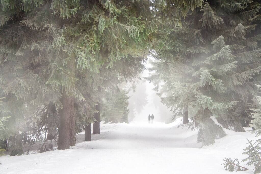 Photo of Others in Cedar Glen